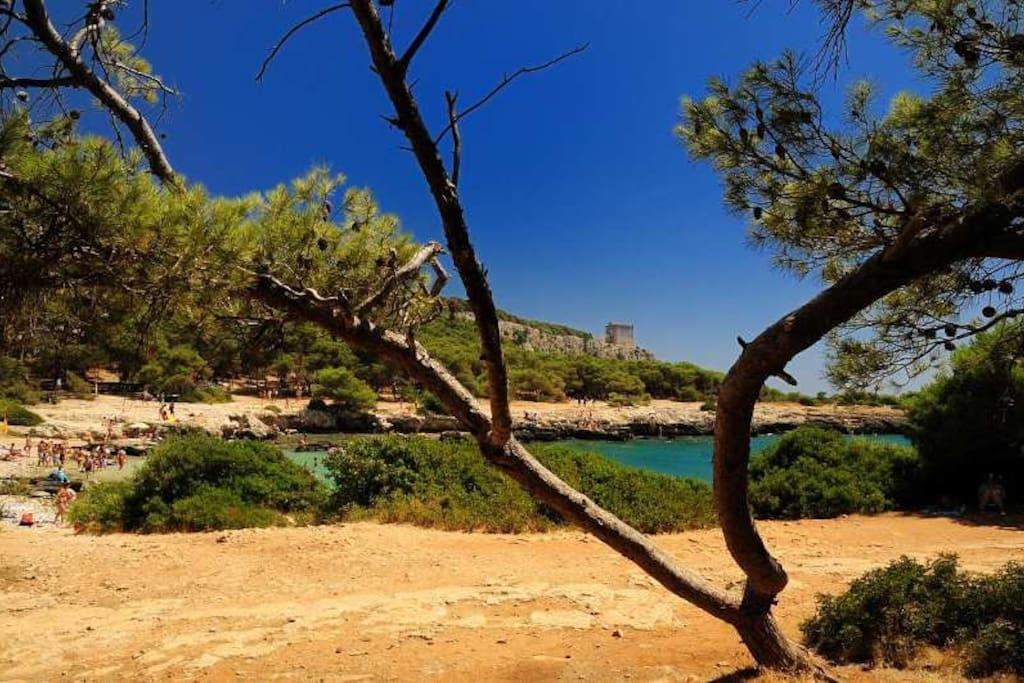 Cottage A 5 Minuti Dal Mare Nardo Ngoại thất bức ảnh